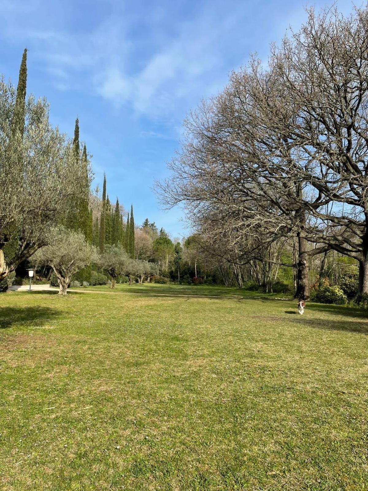 Le Moulin Haut Gites Villeneuvette Εξωτερικό φωτογραφία